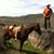 Marty Robbins's profile image