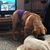 Cheryl Sharer's profile image