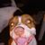 James Cozad's profile image