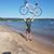 Paul Marek's profile image