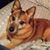 Sarah Kauffman Chandler's profile image