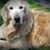 Donna Weik's profile image