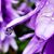Patricia Ann Ervin's profile image