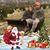 Lisa Rosenberry's profile image