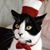 Cathi Gray's profile image