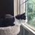 Heidi Stolgitis's profile image