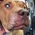 Maureen Graf's profile image