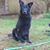 Nancy Moffitt's profile image