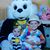 Chris Dalessandro Burlew's profile image