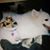 Jeanne Pasero's profile image