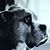 Eric Ruppert's profile image