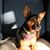 Beth Breyfogle's profile image