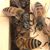 Kathy Harris Drake's profile image