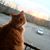 Jennifer Ertel's profile image