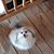 Jess Bussell's profile image