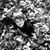 Jess Marie Wegner's profile image