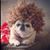 Cathy Lewis's profile image