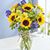 Diane Evans Frear's profile image