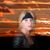 Jackie E Wilhelm's profile image