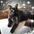 Linda J. Berry's profile image