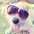 Delbert DuRall's profile image