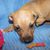 Paula Legg's profile image