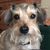 Micki Hartwig's profile image