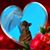 Nadine Toland Coursey's profile image