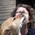 Carla Dewey Urban's profile image