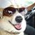 Krista Hofstra Sands's profile image