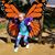 Shiela Estus O'Dell's profile image
