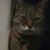 Joyce Hostnik's profile image