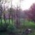 Donna Clothier's profile image