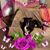 Teressa Blitch's profile image