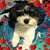 Louise Garland's profile image
