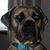 Chris Dorsett-Myers's profile image