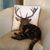 Meredith Greenwood's profile image