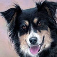 Kathy Bettner's profile image