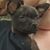 DeEtta Torres's profile image