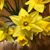 Elizabeth Wright's profile image