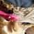 Kirsten Capps's profile image