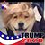 Terri White's profile image