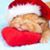 Fran Noonan Claiborne's profile image