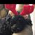 Christy Lloyd's profile image