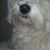 Argelia Jaime's profile image