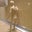 Dima Sh's profile image