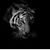 Todd Somers's profile image