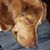 Kathy Meyer's profile image