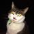 Michael Anthony Launes's profile image