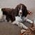 Michele Mahoney Speck's profile image
